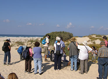 שפך נחל שורק. צילום: חוה בראון, ארכיון הצילומים של קקל