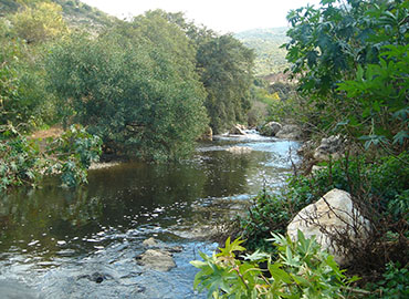נחל שורק. צילום: יעקב שקולניק, ארכיון הצילומים של קקל