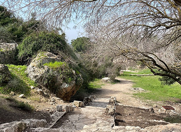 שביל אמות המים בפארק קנדה. צילום: נטע מזרחי, ארכיון הצילומים של קק"ל