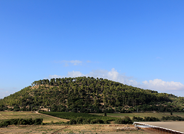 תל עזקה. צילום: יעקב שקולניק, ארכיון הצילומים של קקל