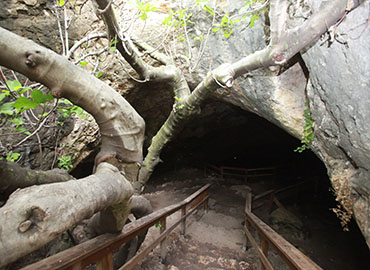 מערת התאומים. צילום: יוסי זמיר, ארכיון הצילומים של קקל