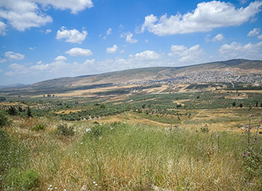 נוף יער בית קשת. צילום: מיכאל חורי, ארכיון הצילומים של קקל
