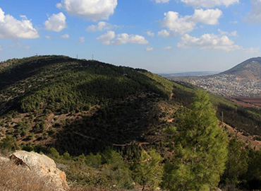 הר דבורה והתבור באופק. צילום: יעקב שקולניק, ארכיון הצילומים של קק"ל