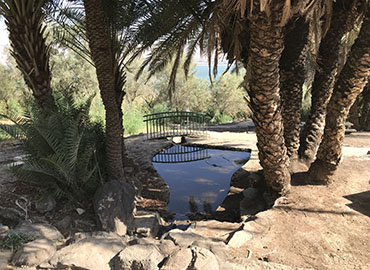 עין פוריה. צילום: כאמל עליאן, ארכיון הצילומים של קקל