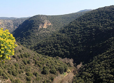 נוף ממצפור המונפור בפארק גורן. צילום: יעקב שקולניק, ארכיון הצילומים של קק"ל