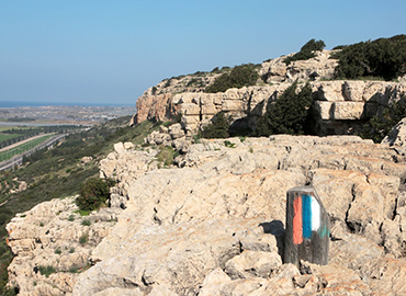 מצוק חוטם הכרמל. צילום: יעקב שקולניק, ארכיון הצילומים של קק"ל