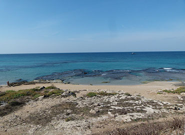 חוף אכזיב. צילום אנדי מייקלסון, ארכיון הצילומים של קקל