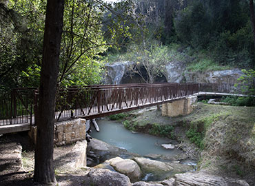 נחל השופט. צילום: אלכס קולומויסקי, ארכיון הצילומים של קקל