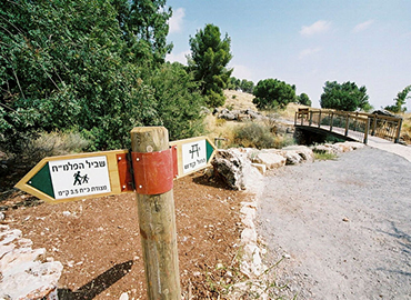 דרך לנחל קדש. צילום: ארכיון הצילומים של קק"ל