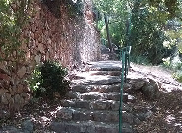 נחל לוטם. צילום: שוקי בן אהרון, ארכיון הצילומים של קקל