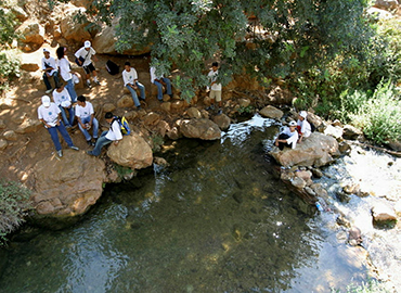נחל צלמון. צילום: אבי הירשפילד, ארכיון הצילומים של קק"ל