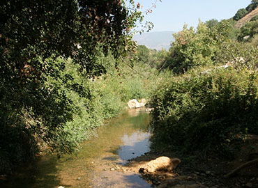 נחל צלמון. צילום: אבי הירשפילד, ארכיון הצילומים של קקל