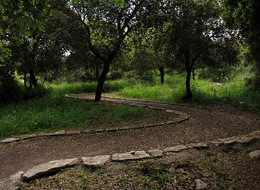 מבואת שמשית. צילום: יעקב שקולניק, ארכיון הצילומים של קק"ל
