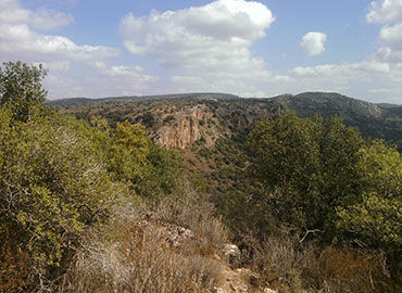 נוף בנחל כזיב. צילום: פנינה לבני, ארכיון הצילומים של קקל
