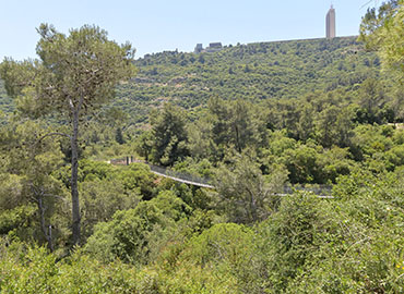 פארק נשר. צילום: גיא אסייג, ארכיון הצילומים של קקל
