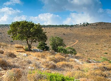 נוף לאורך המסלול. צילום: אילן שחם, ארכיון הצילומים של קקל