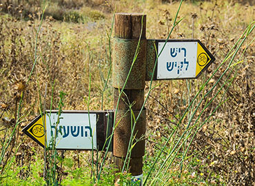 בדרך לריש לקיש. צילום: אילן שחם, ארכיון הצילומים של קקל