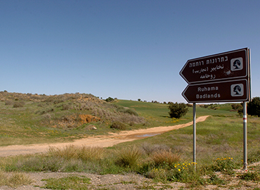 בתרונות רוחמה. צילום: דודו גרינשפן, ארכיון הצילומים של קקל