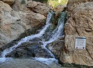 עין בוקק. צילום: שלגית היימן