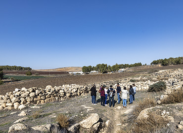 חורבת ענים. צילום: בוני שיינמן, ארכיון הצילומים של קקל