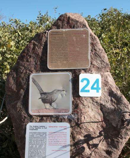 שלט בפארק הולנד. צילום: יעקב שקולניק, ארכיון הצילומים של קקל