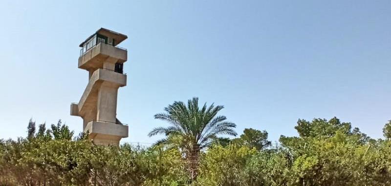 מגדל התצפית ביער להב. צילום: יעקב שקולניק, ארכיון הצילומים של קקל