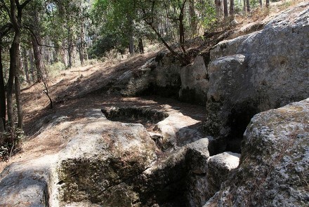 הגת הקדומה. צילום: יעקב שקולניק, ארכיון הצילומים של קקל