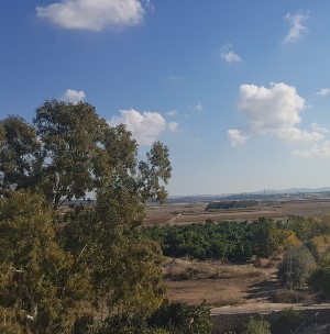 הולכים ומתמעטים: השטחים הפתוחים של שוני. צילום: אדוה קימלפלד
