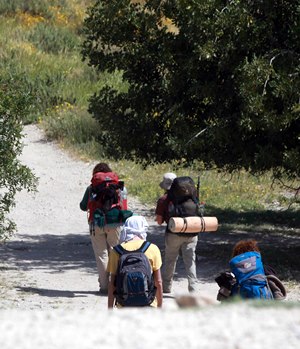 טיילו על השבילים ובחרו את המסלול בהתאם לעונה. צילום: חוגי הסיירות של קקל
