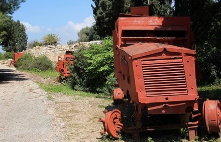 צילום: יעקב שקולניק, ארכיון הצילומים של קקל