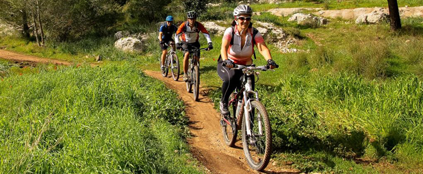 סינגלים בבן שמן. צילום: יואב לביא, ארכיון הצילומים של קקל