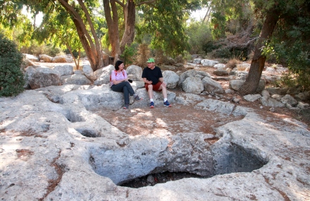 גת חצובה בסלע.. צילום: יעקב שקולניק, ארכיון הצילומים של קקל