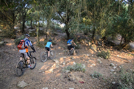 כמו בחול. צילום: אילן שחם