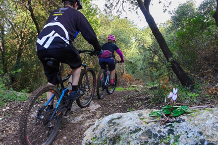 חורש ים תיכוני מהמם. צילום: אילן שחם