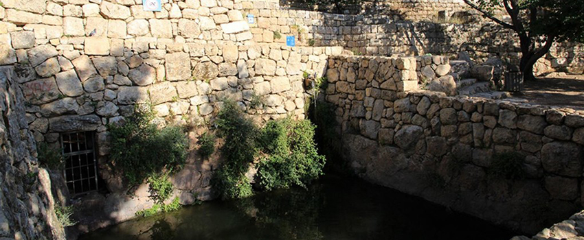 בריכת עין סטף, בסמוך למעיין שהיה מקור מים מרכזי של תושבי הכפר סטף. צילום: יעקב שקולניק