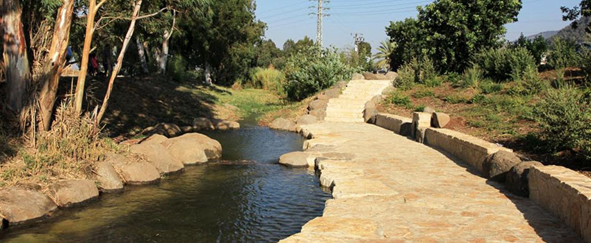 הפלג המשוקם בחורשת גדעון. צילום: יעקב שקולניק, ארכיון הצילומים של קק"ל