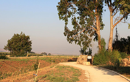 השביל בדרך לטחנת הקמח. צילום: יעקב שקולניק, ארכיון הצילומים של קק"ל