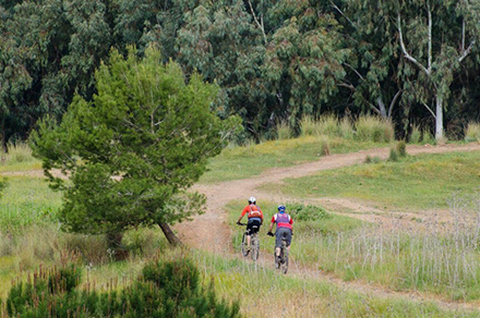 רוכבים בסינגל פלוגות. צילום: אילן שחם