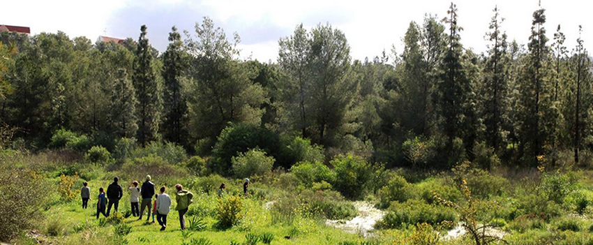 יער ראש העין. שלווה וטבע במרכז הארץ. צילום: יעקב שקולניק, ארכיון הצילומים של קקל