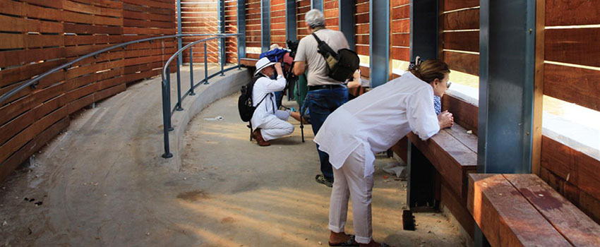 צופים במצפור בראש ציפור. צילום: יעקב שקולניק, ארכיון הצילומים של קק"ל