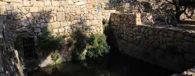 צילום: יעקב שקולניק, ארכיון הצילומים של קקל