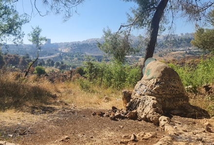 הכיפה מרמזת לקשר בין הסביבה לתרבות העתיקה. צילום: בלה נודלמן