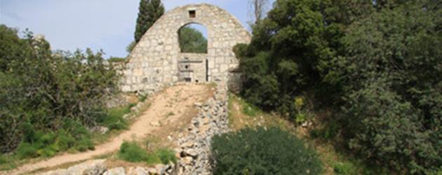 צילום: יעקב שקולניק, ארכיון הצילומים של קקל