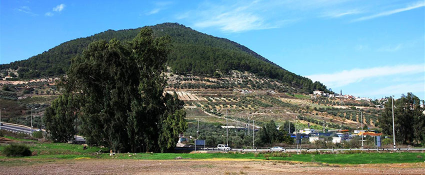 הר תבור. צילום: יעקב שקולניק, ארכיון הצילומים של קקל