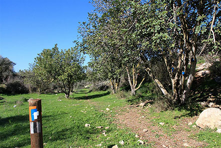 גיא החרובים. צילום: יעקב שקולניק