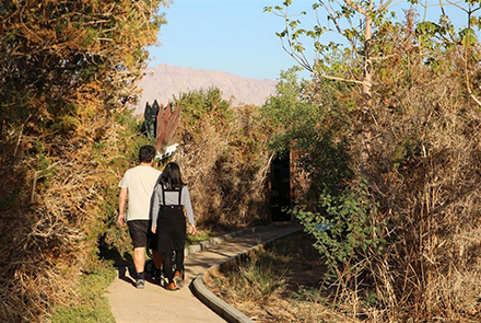 מטיילים בשביל. צילום: יעקב שקולניק, ארכיון הצילומים של קקל