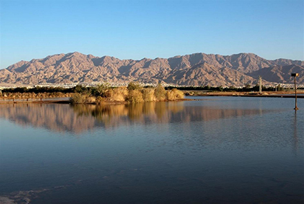 הנוף שנשקף מתצפית מלח הארץ. צילום: יעקב שקולניק, ארכיון הצילומים של קקל
