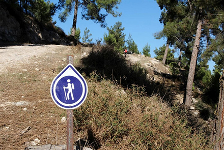 זהו שלט ההכוונה של המסלול. צעדו בעקבותיו. צילום: יעקב שקולניק