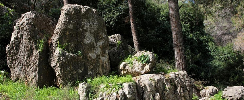 טרשים בדרך. בואו וחפשו ביניהם צמחי סלעים. צילום: יעקב שקולניק