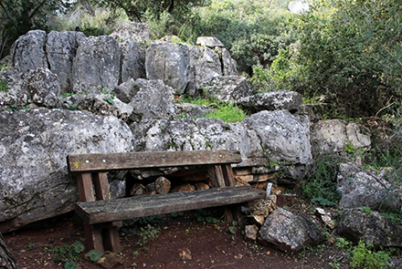 עייפים? נוחו קצת על הספסל. צילום: יעקב שקולניק
